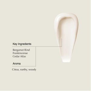 Aesop Shampoo & Conditioner Set