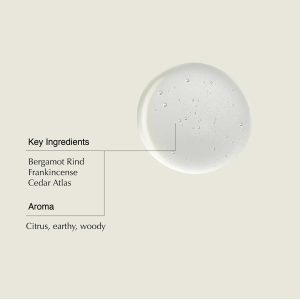 Aesop Shampoo & Conditioner Set