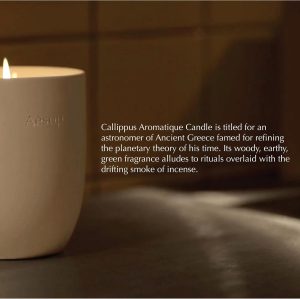 Aesop Callippus Aromatique Candle | Woody. Earthy. Green Scented