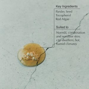 Aesop Parsley Seed Anti-Oxidant Intense Facial Serum with Vitamin E